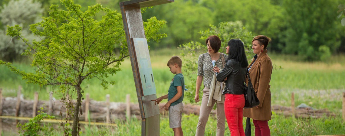 Family adventure tour on Sóstó