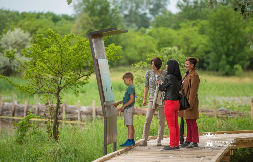 Family adventure tour on Sóstó