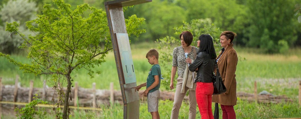 Family adventure tour on Sóstó