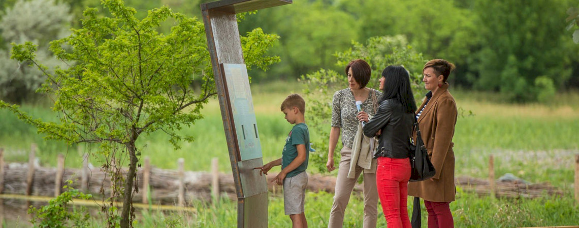 Family adventure tour on Sóstó