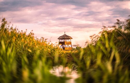 Sóstó – guaranteed ecotour